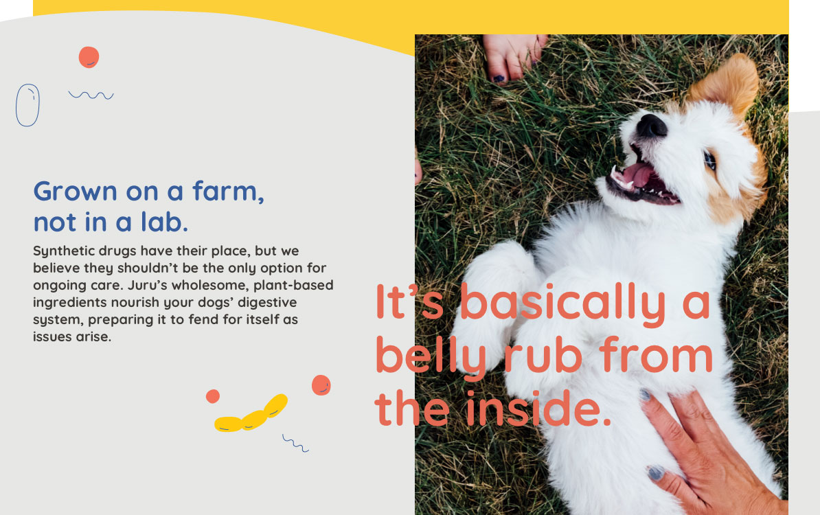 publication layout for Juru with adorable dog and headline: Grown on a farm, not in a lab. It's basically a belly rub from the inside