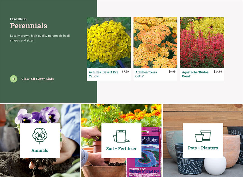 BloomBox home page components by product categories, designed by Infantree