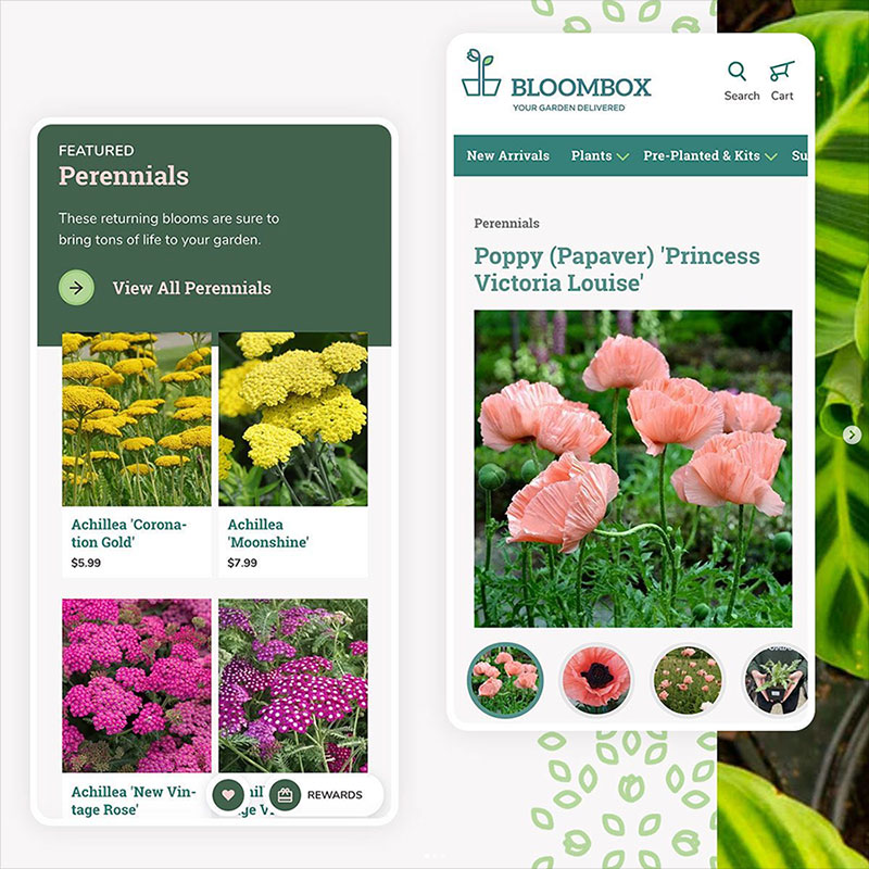 mobile views of BloomBox ecommerce product pages, designed by Infantree