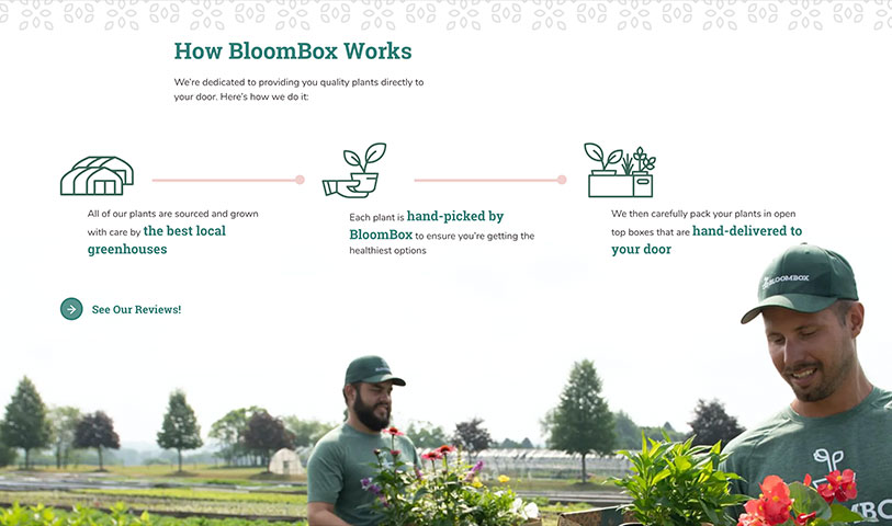 Process graphic for BloomBox operations, designed by Infantree