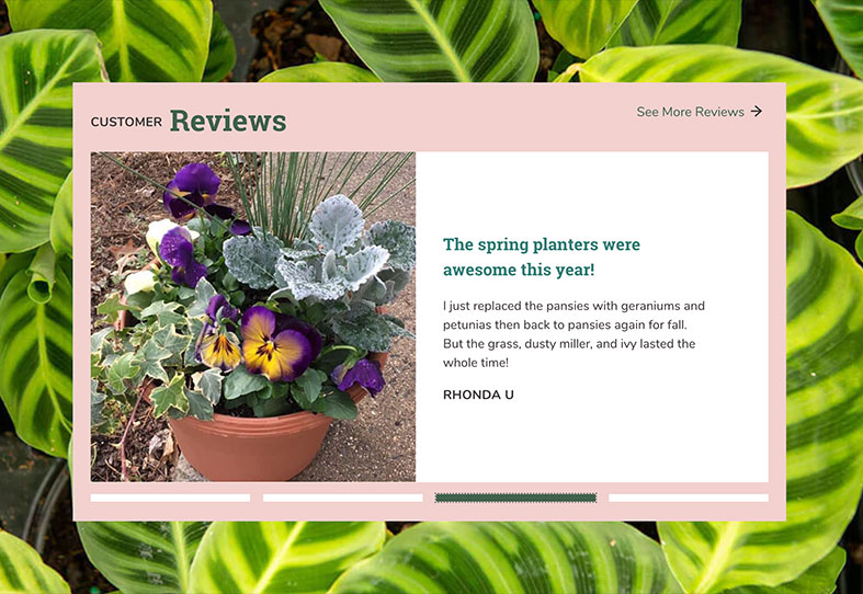 a customer review with photograph, designed by Infantree